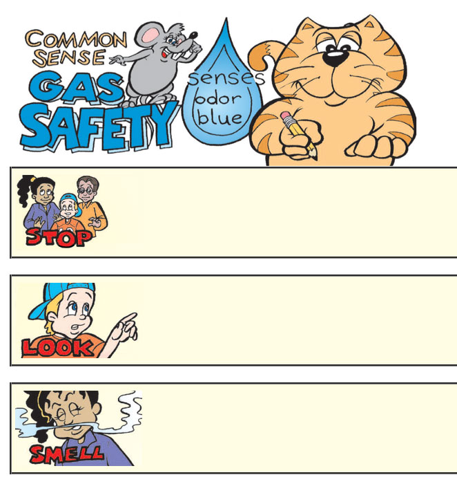 gas safety gas safety