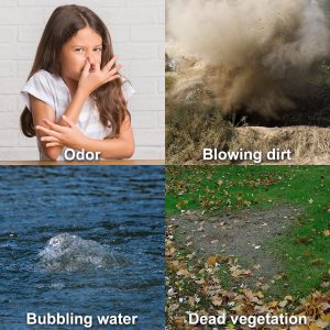 Gas leak indicators odor, blowing dirt, bubbling water and dead vegetation
