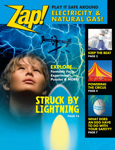 36215 Zap Play It Safe Around Electricity NG lg